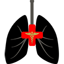 Cardiothoracic & Vascular Surgery